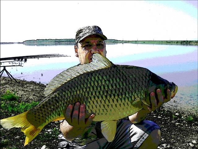 prelucrari - picsart1382195954682.jpg